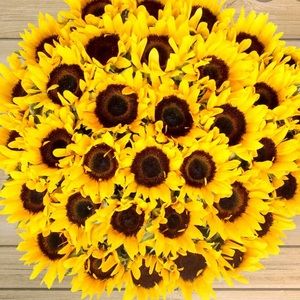 Meet your Posher, Lizzette